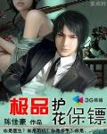 極品護花保鏢