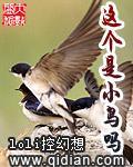 這個是小鳥嗎