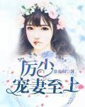 厲少寵妻至上