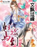 駙馬嫁到