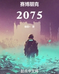 賽博朋克：2075