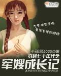 穿越七十年代之軍嫂成長記
