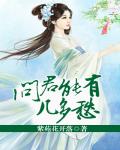 問君能有幾多愁